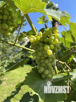 Дом 83м², 1-этажный, участок 11 сот.