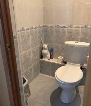 Дом 207м&sup2;, 2-этажный, участок 12 сот.  