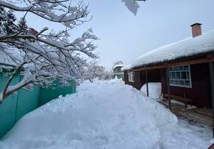 Дом 64м&sup2;, 2-этажный, участок 4 сот.  