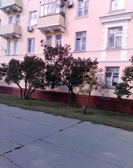 Фото комнаты на продажу (3)