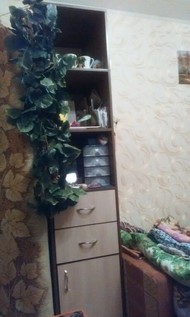 Фото комнаты на продажу (3)