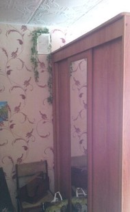 Фото комнаты на продажу (3)