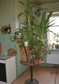 Фото комнаты на продажу (5)