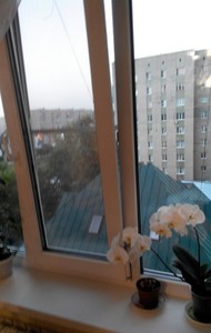 Фото комнаты на продажу (5)