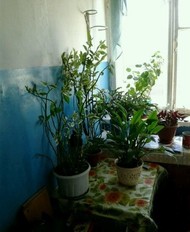 Фото комнаты на продажу (5)