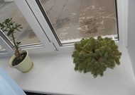 Фото комнаты на продажу (8)