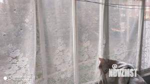 1-к квартира, вторичка, 32м2, 1/6 этаж