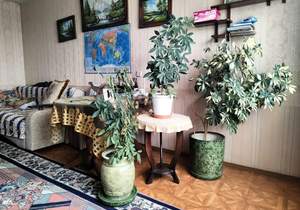 3-к квартира, вторичка, 71м2, 13/14 этаж